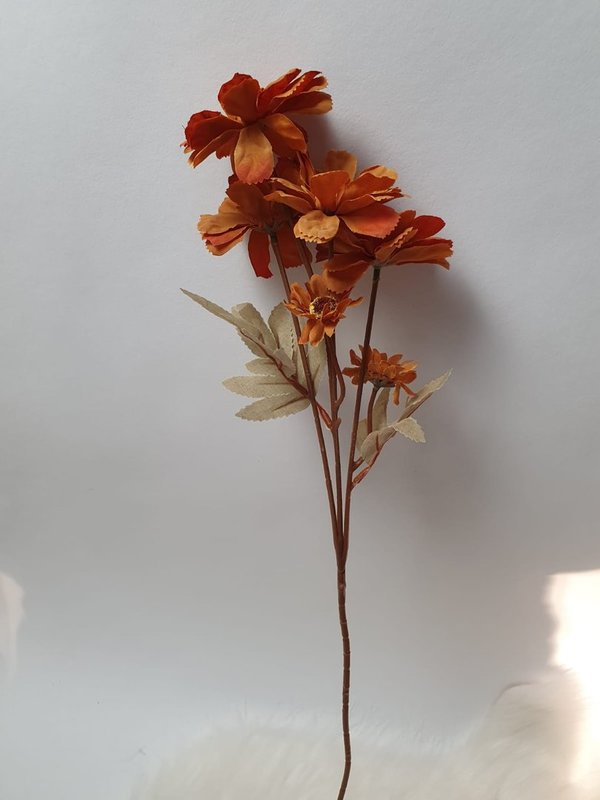 Chrysantheme 4 größere und 2 kleine Blüten in verschiedenen Farben