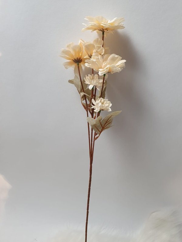 Chrysantheme 4 größere und 2 kleine Blüten in verschiedenen Farben